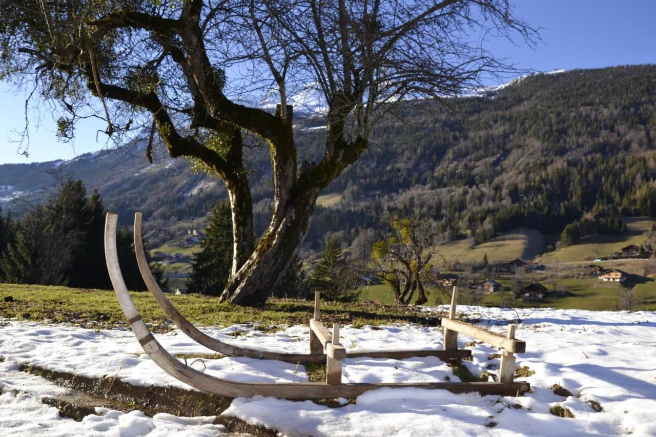 Les Picaillons - Le Chalet Les Villards-sur-Thônes المظهر الخارجي الصورة