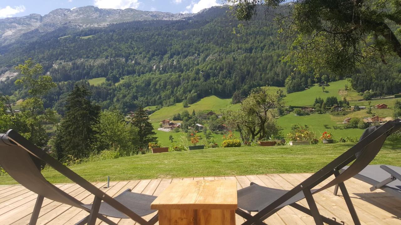 Les Picaillons - Le Chalet Les Villards-sur-Thônes المظهر الخارجي الصورة